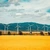 Energia eoliană reprezintă, azi, circa 40% din necesarul României