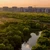 Asociația Parcul Național Văcărești schimbă strategia din cauza modificării climei din ultimii ani