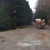 Fondul forestier a crescut cu 1.263 de hectare, la 6,61 milioane de hectare – INS