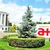 AGA la Antibiotice Iași după cel mai bun an din istoria sa: Facilitate de credit de 35 de milioane de lei, aprobată, Delloite reconfirmat ca auditor