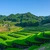 Peste jumătate dintre destinațiile turistice de top ale acesti veri sunt în Asia