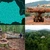 Pădurile din România – Câte hectare are România şi cum s-a schimbat suprafaţa de păduri din ţara noastră anul trecut