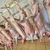 Sănătatea publică și siguranța alimentară sunt priorități strategice ale ANSVSA și nu există loc pentru compromisuri – Alexandru Bociu, președinte ANSVSA