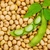 Decizie istorică – Verde pentru soia modificată genetic, în UE