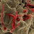 Caz suspect de Ebola în Cehia. Autoritățile au lansat un răspuns de urgență pe scară largă