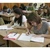 România se pregăteşte pentru o schimbare istorică. Ce a anunţat Ministrul Educației despre examenul de Evaluare Naţională