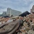 FOTO Încă o fabrică se demolează în București. Vastint, care are același acționar ca și IKEA, pregătește un nou proiect imobiliar