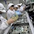 Apple se extinde în India prin Foxconn, în pofida obiecţiilor lui Donald Trump