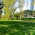 Anunţ pentru bucureşteni. Un cunoscut parc din Capitală se pregăteşte de modernizare: turn de belvedere, un vagon de metrou, locuri de joacă, terenuri de sport şi zonă de hamace
