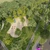 Cel mai nou parc din București, se întinde pe 27.000 mp. Ce spune Primăria