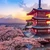 Tinerii români au dat buzna în Japonia pentru cireșii înfloriți- Studiu Revolut