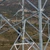 Electromontaj va construi linia electrică aeriană 400 kV Timişoara – Arad