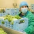 Polonezii de la Green Factory anunță achiziția Eisberg România și Eisberg Ungaria