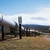 Livrările de petrol către Ungaria şi Slovacia via conducta Drujba au fost reluate