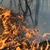 Patru incendii de vegetaţie uscată în Maramureș. Peste 45 de hectare afectate
