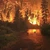 Incendii de amploare în Caraş-Severin
