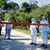 Nivel maxim de alertă în șapte localități din Satu Mare din cauza pestei porcine. Sunt interzise activitățile și mișcarea porcilor sau a produselor derivate