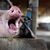 Ce s-a întâmplat cu producţia de carne din România în primul trimestru din 2026 – date INS