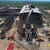 VIDEO Imagini spectaculoase de la UMB Steel: O super-macara de 750 de tone a intrat pe șantierul de la Oțelu Roșu pentru a demonta vechea uzină