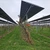 Vaticanul vrea să-și facă propriul parc agrivoltaic