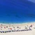 Paradoxul elen – Grecia e un paradis pentru turişti, dar vacanţele sunt deja un lux pentru „băştinaşi” (reportaj Bloomberg)