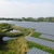 Guvernul german vrea să scadă subvențiile acordate producătorilor de energie regenerabilă, din cauză că a ajuns să pună presiune pe rețea