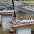 VIDEO Autostrada Moldovei A7: Umbrărescu a mobilizat 1.900 de muncitori pe tronsonul Adjud – Bacău. Când va fi gata