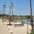 FOTO Promenada Lacul Morii. Scandal cu arborii plantați: „Din păcate, majoritatea nu s-au prins”. Răspunsul ADPDU S6