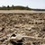 Criză complexă în toată Europa în vara 2026 – Fenomenul extrem care loveşte continentul (date World Weather Attribution)