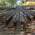 FOTO Primăria București: A început montarea șinelor de tramvai pe cel mai lung lot, de 18 kilometri