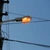 Asociaţia Română pentru Iluminat solicită autorităților ca în contextul crizei energetice iluminatul public să fie redus, dar nu oprit