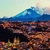 China „forţează” expansiunea în America Latină. Preşedintele Xi Jinping cere ţărilor latino-americane să dea dovadă de „autonomie” şi să-şi caute drumul spre dezvoltare prin alegerea partenerilor în mod independent