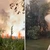 Incendiu puternic în Delta Dunării. Există pericol de propagare la fondul forestier