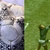 Mingea cu care Maradona a marcat golul cu mâna împotriva Angliei, vândută cu peste 3 milioane dolari