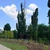 FOTO Cel mai lung parc liniar din Europa: Faza 3, aproape de finalizare