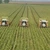 Franţa se pregăteşte de criza pensionarilor din agricultură