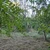 FOTO Parc cerut de bucureșteni de 11 ani, gata să devină realitate. Se caută soluții de amenajare