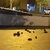 Şobolani în centrul Bucureștiului – Ce măsuri a luat primarul Ciucu