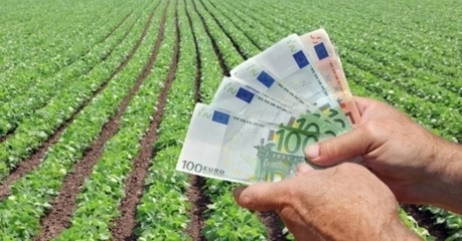 Investițiile străine în agricultură și industria alimentară au scăzut cu peste 54% față de anul trecut, până la 28,7 milioane de euro. Topul investițiilor