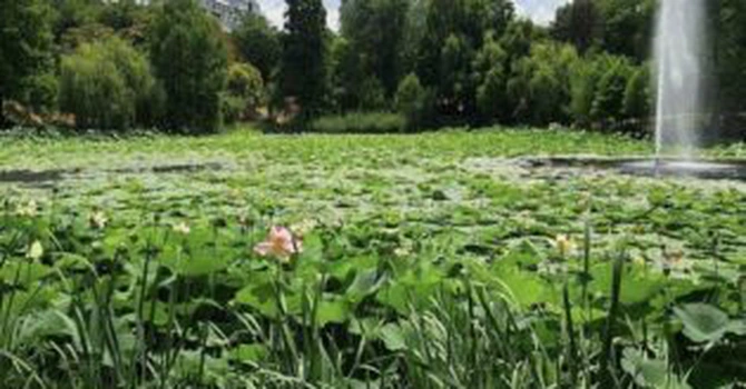 Primăria Capitalei va construi un puț de mare adâncime care să alimenteze lacul din Parcul Circului