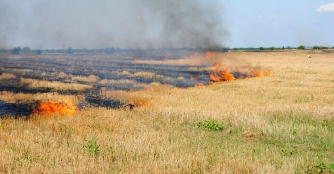 Octavian Berceanu: În șapte luni au fost arse de 10 ori mai multe hectare decât media anilor 2006 – 2021