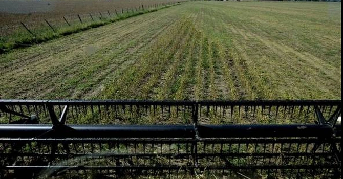AAC: Direcțiile propuse de Parlamentul European pentru bugetul UE post-2027 sunt un pas importat spre o Politică Agricolă Comună (PAC) mai corectă şi adaptată realităţilor