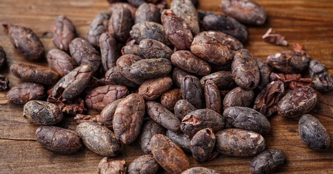 Raritatea pudrei de cacao, noua problemă a cicolatierilor, după criza untului de cacao. Prețurile pudrei de cacao se apropie de maximul istoric