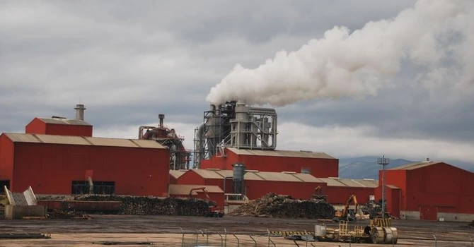 Kronospan are undă verde de la Consiliul Concurenţei pentru preluarea  ZG Timber Sebes SRL