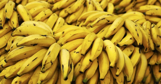 Criza bananelor – Creşterea temperaturilor şi dăunătorii omoară culturile