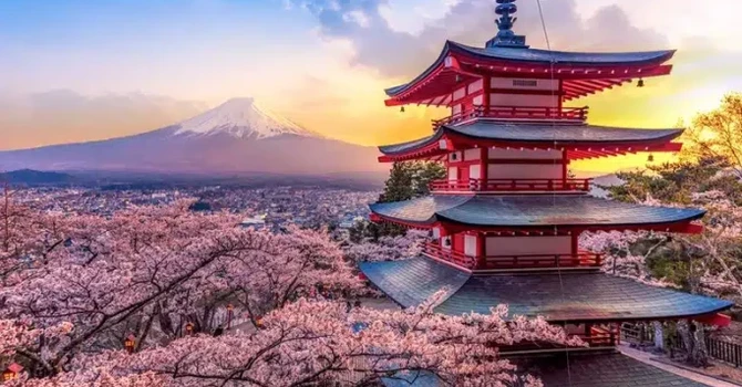 Tinerii români au dat buzna în Japonia pentru cireșii înfloriți- Studiu Revolut