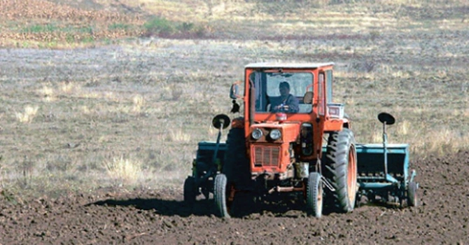 Regiunea Bucureşti-Ilfov a avut, în 2024, cele mai scumpe terenuri arabile din România