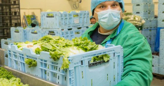Polonezii de la Green Factory anunță achiziția Eisberg România și Eisberg Ungaria