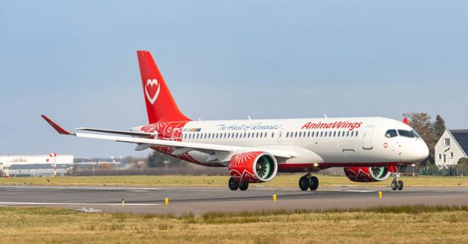AnimaWings programează zboruri regulate către Istanbul, de pe cinci aeroporturi din România