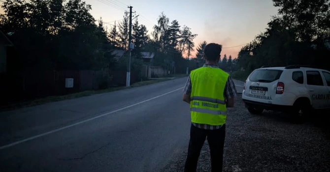 Guvernul suplimentează schema de personal de la Garda Forestieră cu 197 de posturi